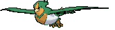 Swellow front shiny animated