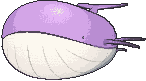 Wailord front shiny animated