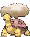 Torkoal front shiny animated