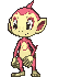 Chimchar front shiny animated