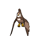 Staravia front shiny animated