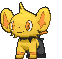 Shinx front shiny animated