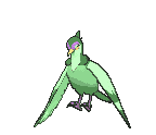 Tranquill front shiny animated