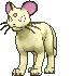 Persian front shiny animated