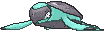 Tirtouga front shiny animated