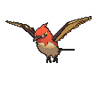 Fletchinder front shiny animated