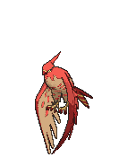 Talonflame front shiny animated