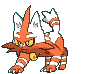 Torracat front shiny animated