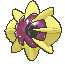 Cosmoem front shiny animated