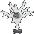 Cursola front shiny animated