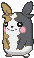 Full Belly Morpeko front shiny animated