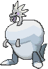 Arctozolt front shiny animated