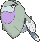 Arctovish front shiny animated