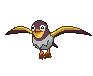 Wattrel front shiny animated