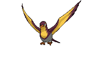 Kilowattrel front shiny animated