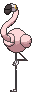 Flamigo front shiny animated