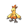 Combusken front shiny sprites