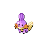 Mudkip front shiny sprites