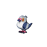 Pidove front shiny sprites