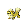 Growlithe front shiny sprites