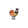 Fletchling front shiny sprites