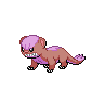 Yungoos front shiny sprites