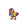 Wattrel front shiny sprites